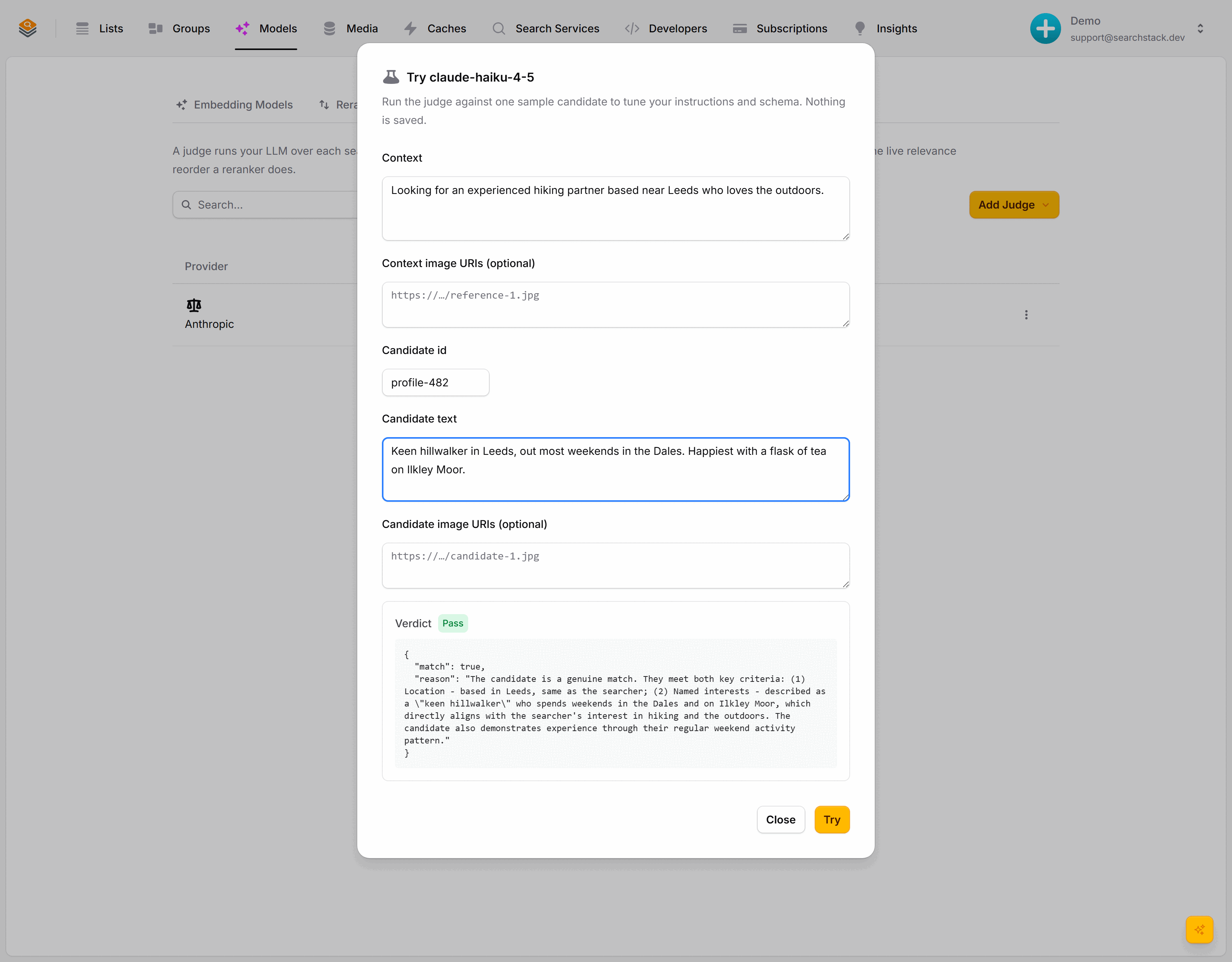 The Try dialog: a hiking-partner context and a matching candidate profile, with a Pass verdict and the judge's reasoning